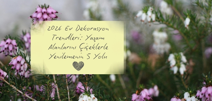 2026 Ev Dekorasyon Trendleri