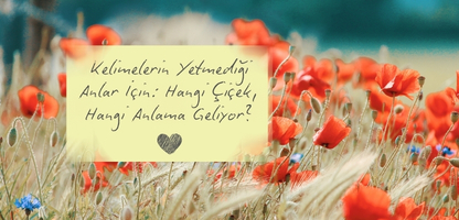 Kelimelerin Yetmediği Anlar İçin